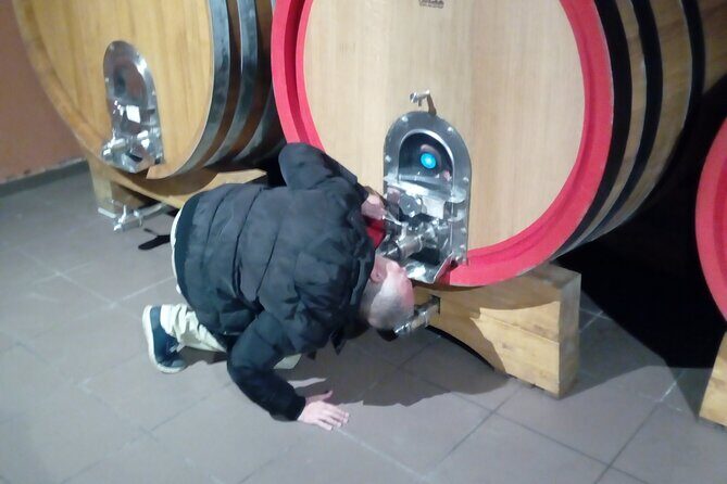 Etna private tour with wine cellar gambino lunch and wine tasting - Frequently Asked Questions