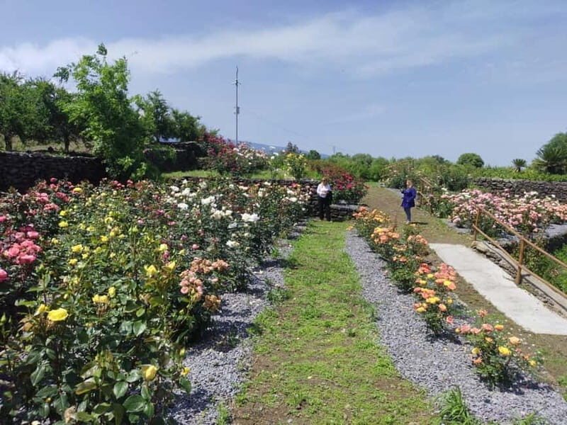 Etna & Sea: Pic Nic in Batia - An In-Depth Look at the Experience