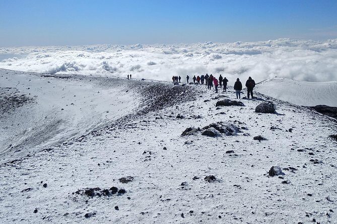 Etna Tour - HalfDay Small Group & licensed Tour Guide - Who This Tour Is Perfect For