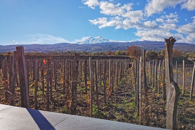 Etna Wine and Alcantara - In-Depth Look at the Tour Itinerary
