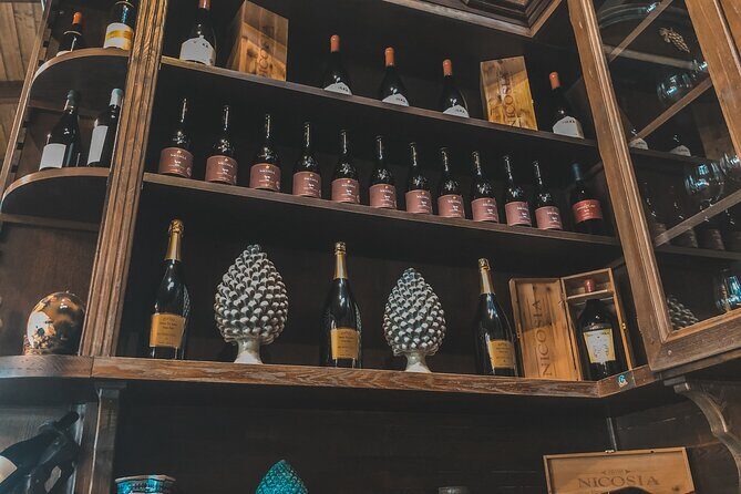 Etna Wine Tour - An In-Depth Look at the Etna Wine Tour