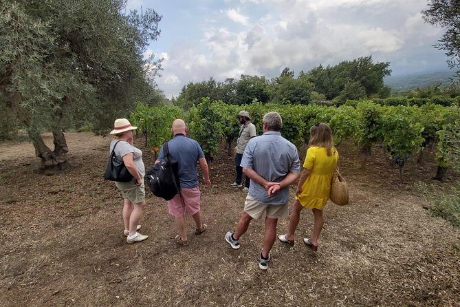 Etna Wineries Tour - Small Groups from Taormina - A Deep Dive into the Etna Wineries Tour