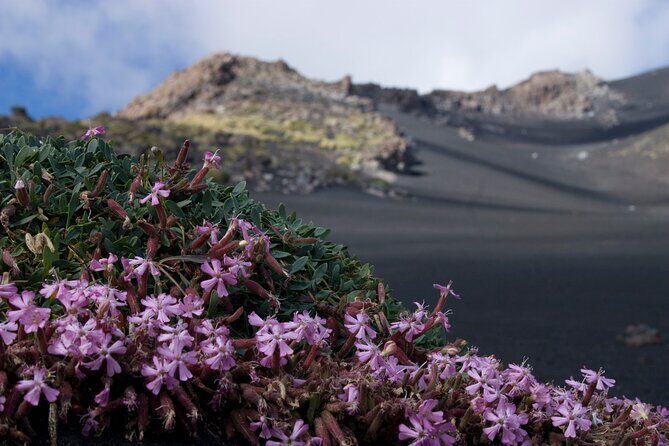 Etna's Hidden Gems - Trek Valle Bove & Lava Tunnel with Gear - Physical Fitness and Preparation