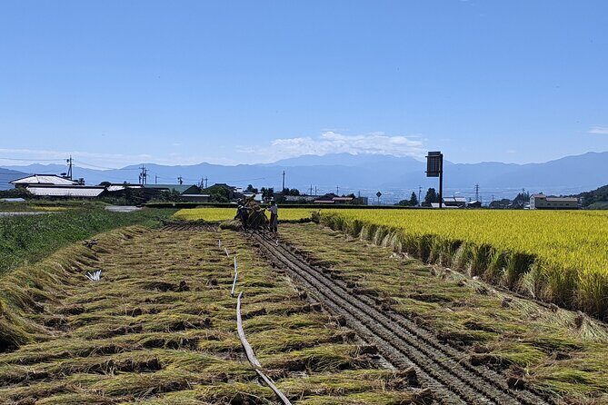 eTour de Matsumoto - Private Electric Bike Tour - Practical Details