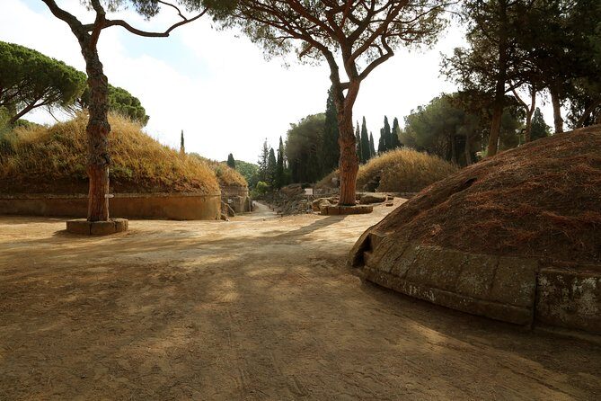 Etruscan Tarquinia and Cerveteri from Rome - An In-Depth Look at the Etruscan Tour from Rome