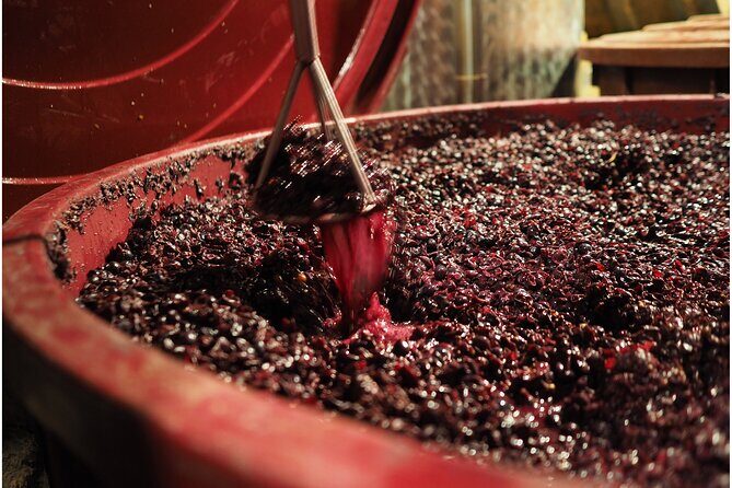 Etyek Private Half-Day Wine Tasting Tour from Budapest - FAQ