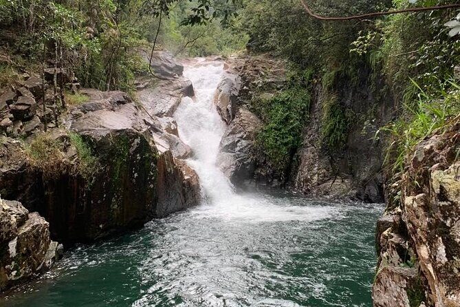 Eungella Platypus Tour - Introduction: A Nature Escape with a Local Touch
