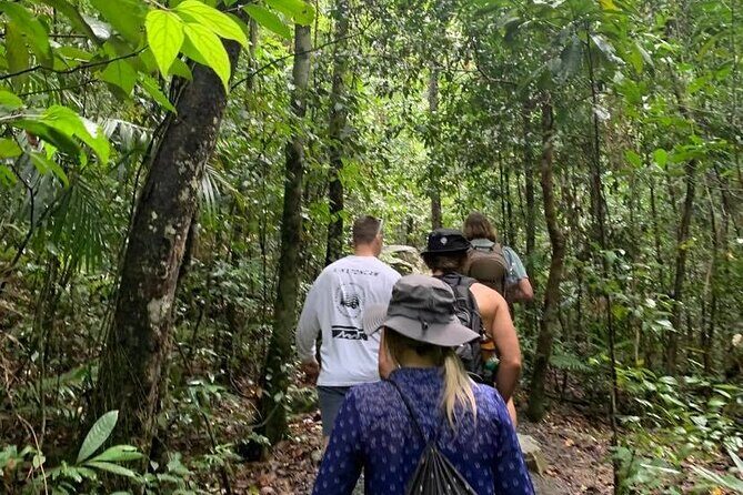 Eungella Platypus Tour - FAQ