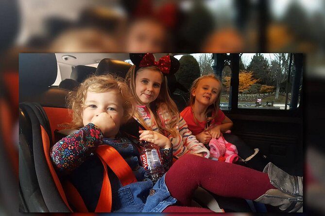 Euro Disney - CDG (One Way) Private Shuttle Transfer - Final Thoughts