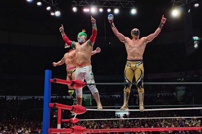 Even the Rudos Can't Resist the Tacos and Mezcal Fight Tour - What Makes This Tour Stand Out