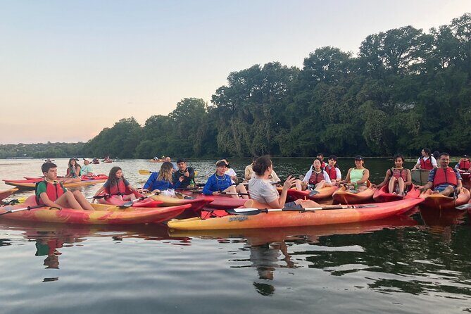Evening Bat Watching Kayak Tour - Key Points