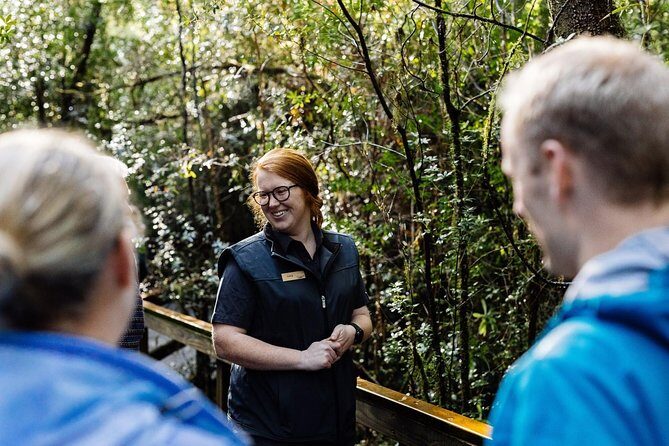 Evening Dinner Cruise - The Overall Value