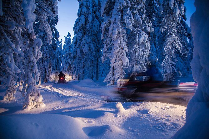 Evening Escape - Snowmobile safari and campfire in Rovaniemi - Potential Drawbacks to Consider