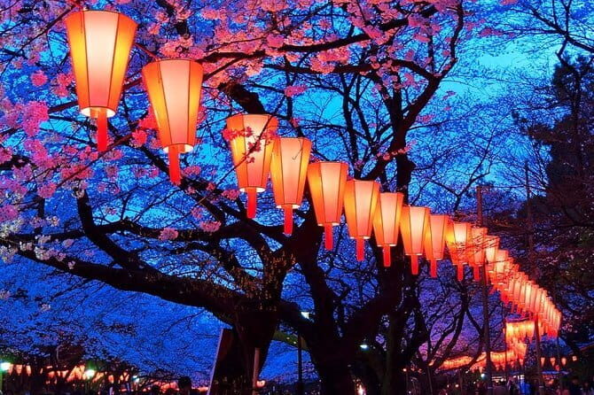 Evening Hanami (Cherry Blossom) Experience with a Local - Who is This Tour For?