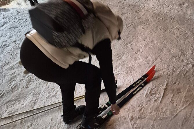 Evening Snowshoeing / Cross-country skiing Experience - A Deep Dive Into the Experience