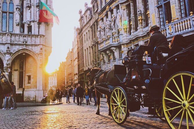 Evening Tour: The Dark Side of Brussels - Practical Details and Tips