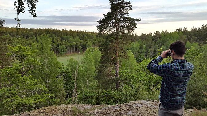 Evening Wildlife Safari Stockholm - The Itinerary: What to Expect