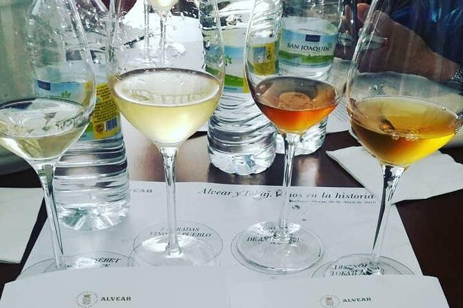 Evening Wine Tasting Córdoba - Key Points
