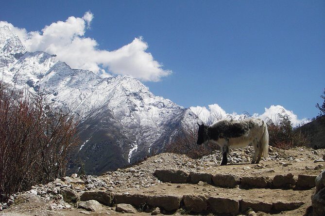 Everest Base Camp - Cho La Pass - Gokyo Trek - Analyzing the Trek Experience