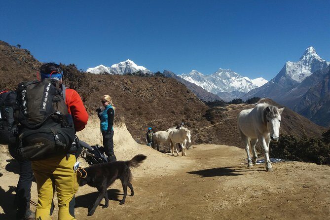 Everest Base Camp Trek - An In-Depth Look at the Everest Base Camp Trek