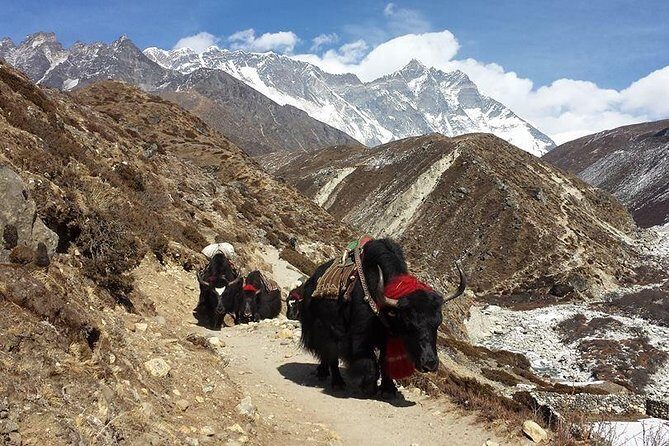 Everest Base Camp Trek - The Journey Begins: From Kathmandu to Lukla