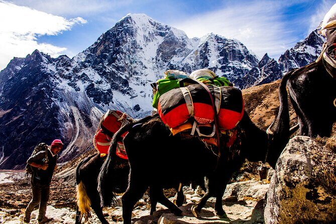 "Everest Base Camp Trek  12Day Guided Adventure in the Himalayas - The value of this trek: what youll get for $1,300