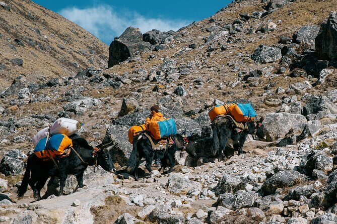 Everest Base Camp Trek - 14 Days - The Climb to Kala Patthar