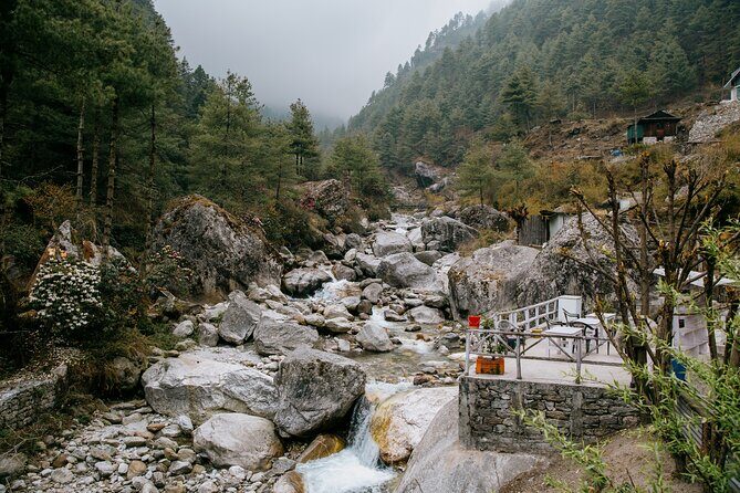Everest Base Camp Trek - 14 Days - The Return: Descending and Reflecting
