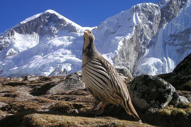 Everest Base Camp Trek with Kathmandu Valley Sightseeing Tour - Practical Details and Considerations