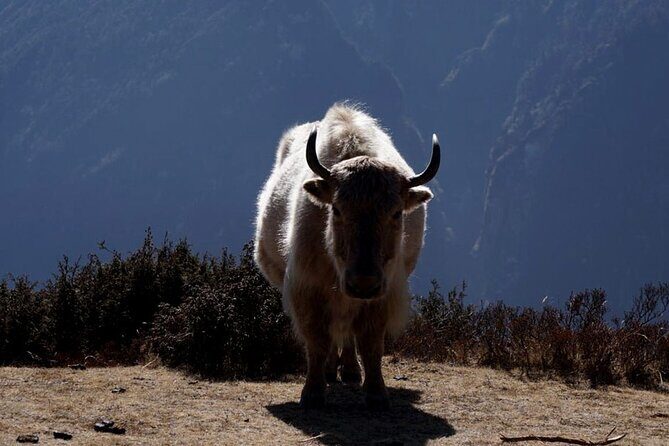 Everest Base Camp Trekking - 2025/2026 - The Sum Up