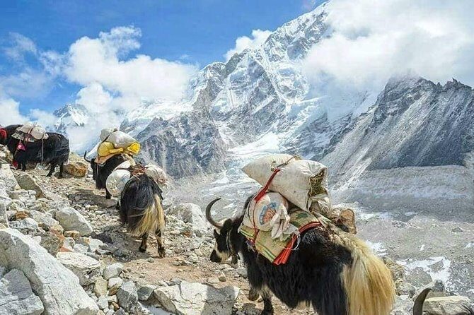 Everest Base Camp With Chola Pass via Gokyo Lakes - Why Choose This Trek?
