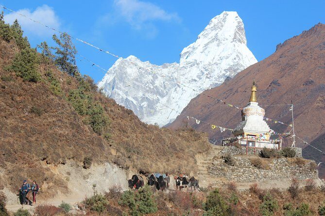 Everest Three Pass Trek - Logistics and Value