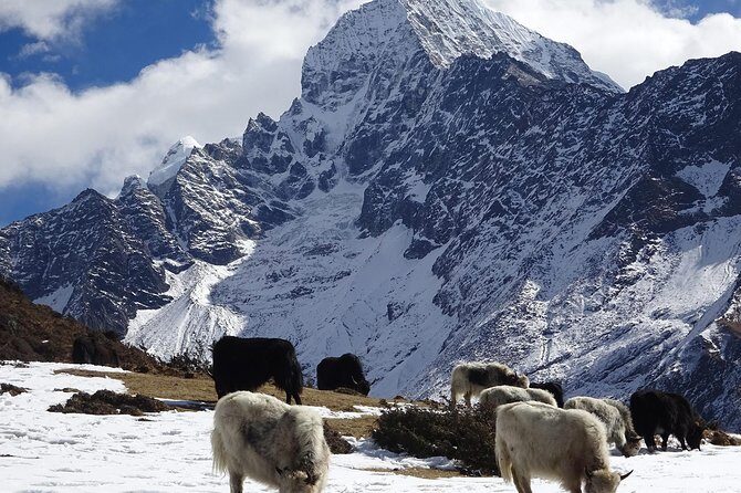 Everest View Short Trek -7 Days - The Sum Up