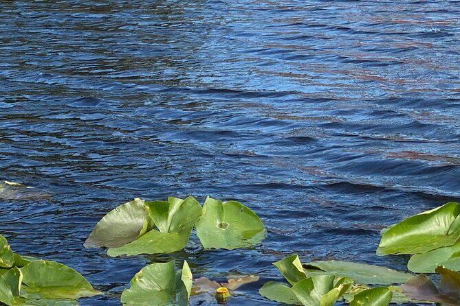 Everglades Airboat Adventure with Roundtrip Bayside Transfer - FAQ