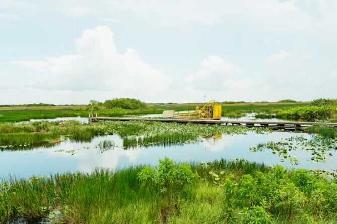 Everglades Airboat Ride and Nature Walk Private Tour - The Experience: What to Expect
