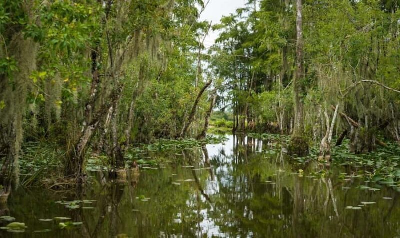 Everglades: Airboat Ride and Wildlife Sanctuary Tour - Final Thoughts