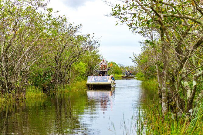 Everglades Airboat Safari Adventure with Transportation - Practical Tips for Future Travelers