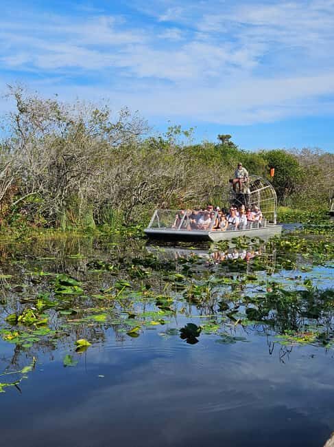 Everglades: boat tour with transportation& entrance included - What Travelers Love and What to Consider