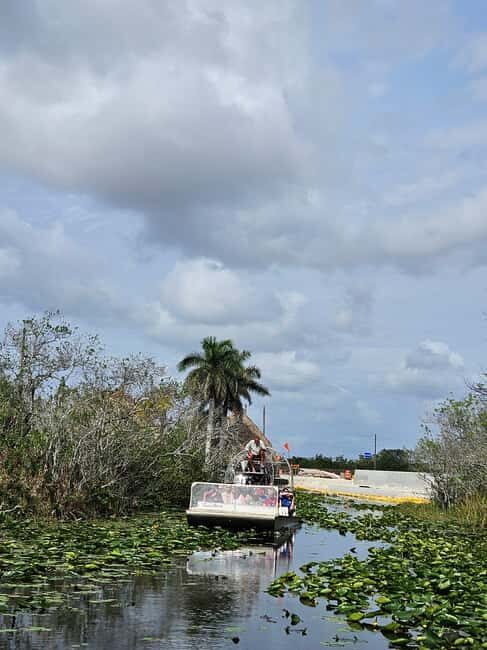 Everglades: boat tour with transportation& entrance included - Final Thoughts: Is This Tour Right for You?