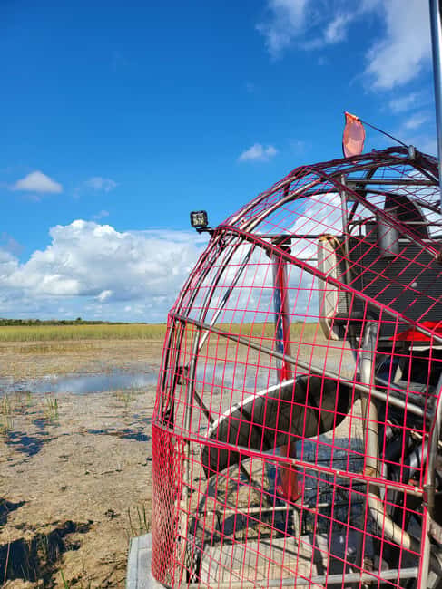 Everglades: boat tour with transportation& entrance included - FAQ