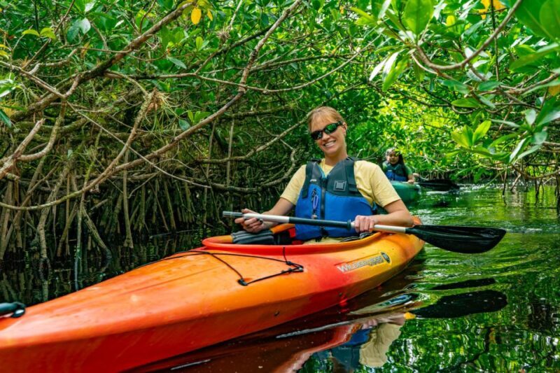 Everglades City: Guided Kayaking Tour and Airboat Ride - Key Points