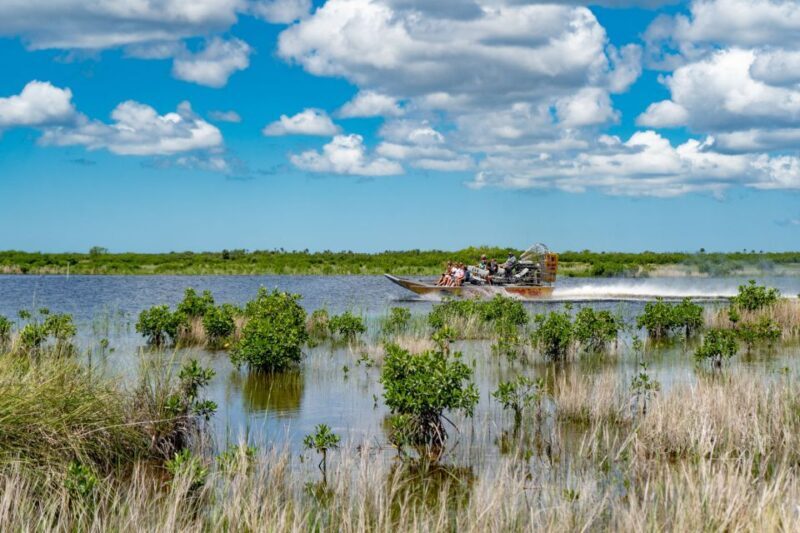 Everglades City: Guided Kayaking Tour and Airboat Ride - Authenticity and Education