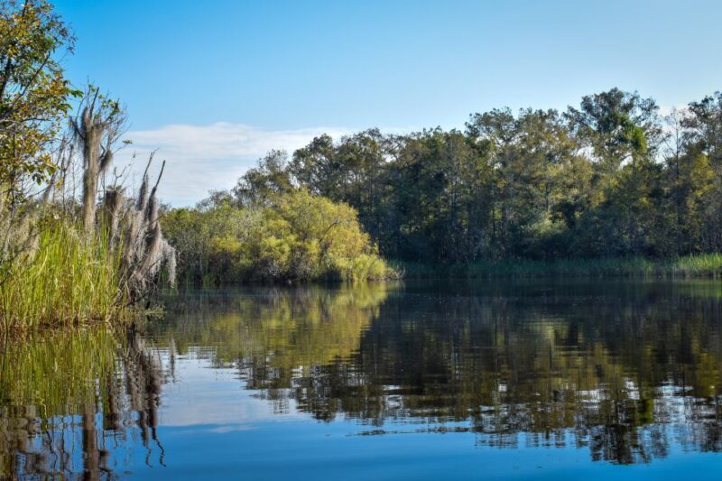 Everglades City: Guided Kayaking Tour of the Wetlands - Is This Tour Worth It?