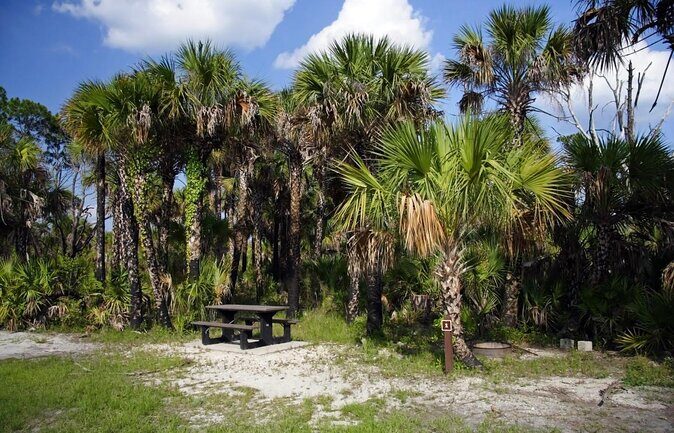 Everglades Day Safari from Miami - Exploring the Everglades Day Safari from Miami: A Deep Dive
