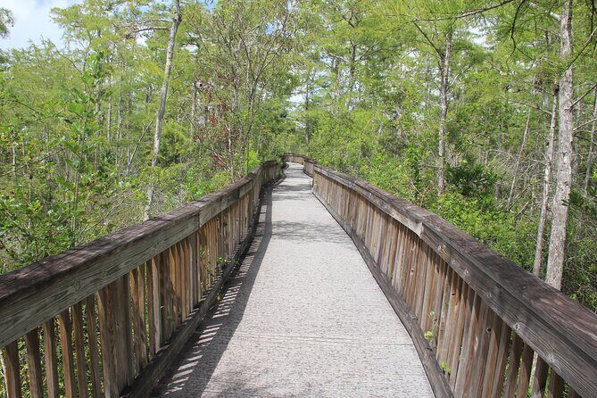 Everglades Day Safari from Miami - Final Words