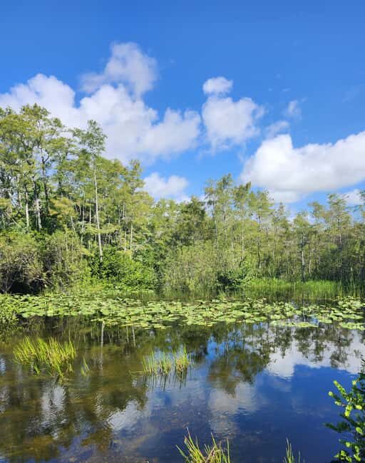 Everglades Eco Airboat Tour small group & top transportation - Key Points