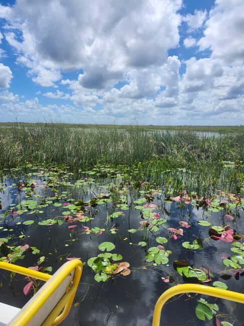 Everglades Eco Airboat Tour small group & top transportation - Overall Value and Practical Details