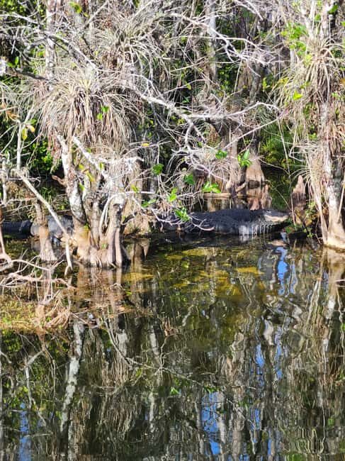 Everglades Eco Airboat Tour small group & top transportation - Who Will Enjoy This Tour?