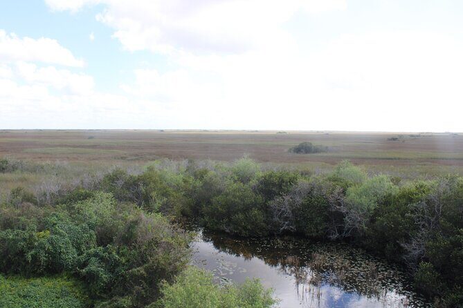 Everglades Eco Airboat Tour with Private Luxury Transportation - Comparing the Tour to Other Experiences