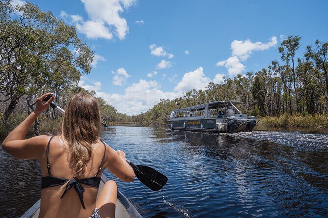 Everglades Explorer - Noosa Everglades Tour - The Reality of Wildlife and Environment